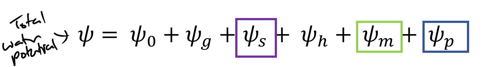 <p>******What does each component of the WATER POTENTIAL equation represent?</p>