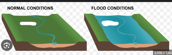<p>Flat area that floods when water overflows</p>
