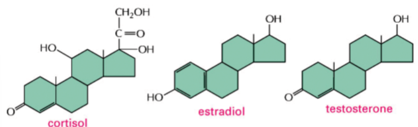 <p>lipid-soluble hormones derived from cholesterol</p><p>e.g. cortisol, estradiol, testosterone</p><p>contain 3 6-membered rings and 1 5-membered ring</p>