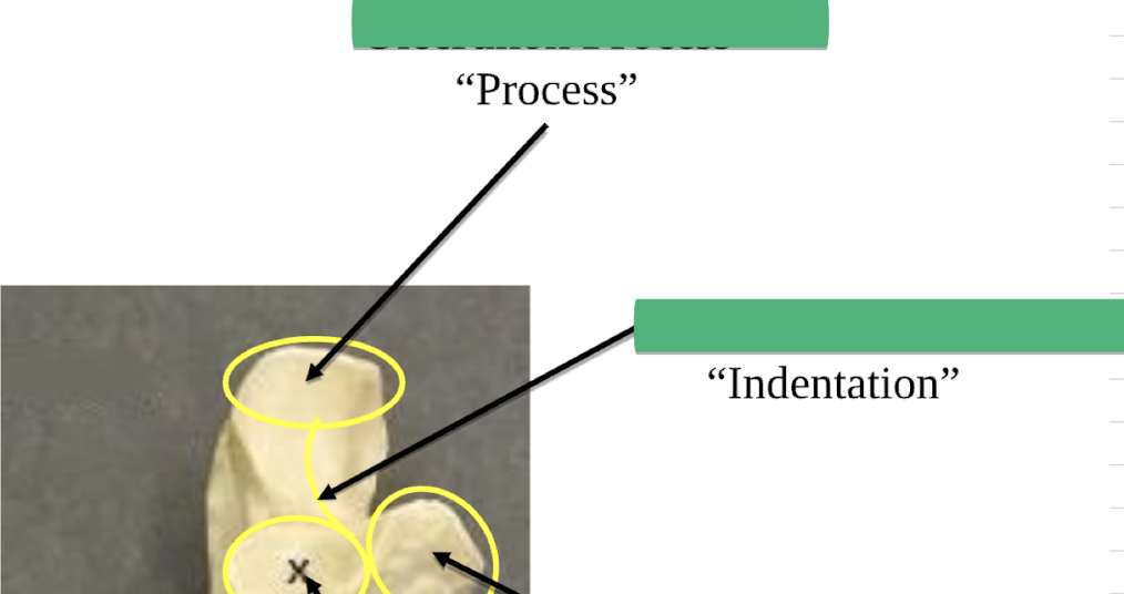 <p>Name this process </p>