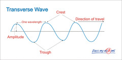 <p>Particles move at right angles to the direction of movement of the wave, eg. Ocean waves</p>