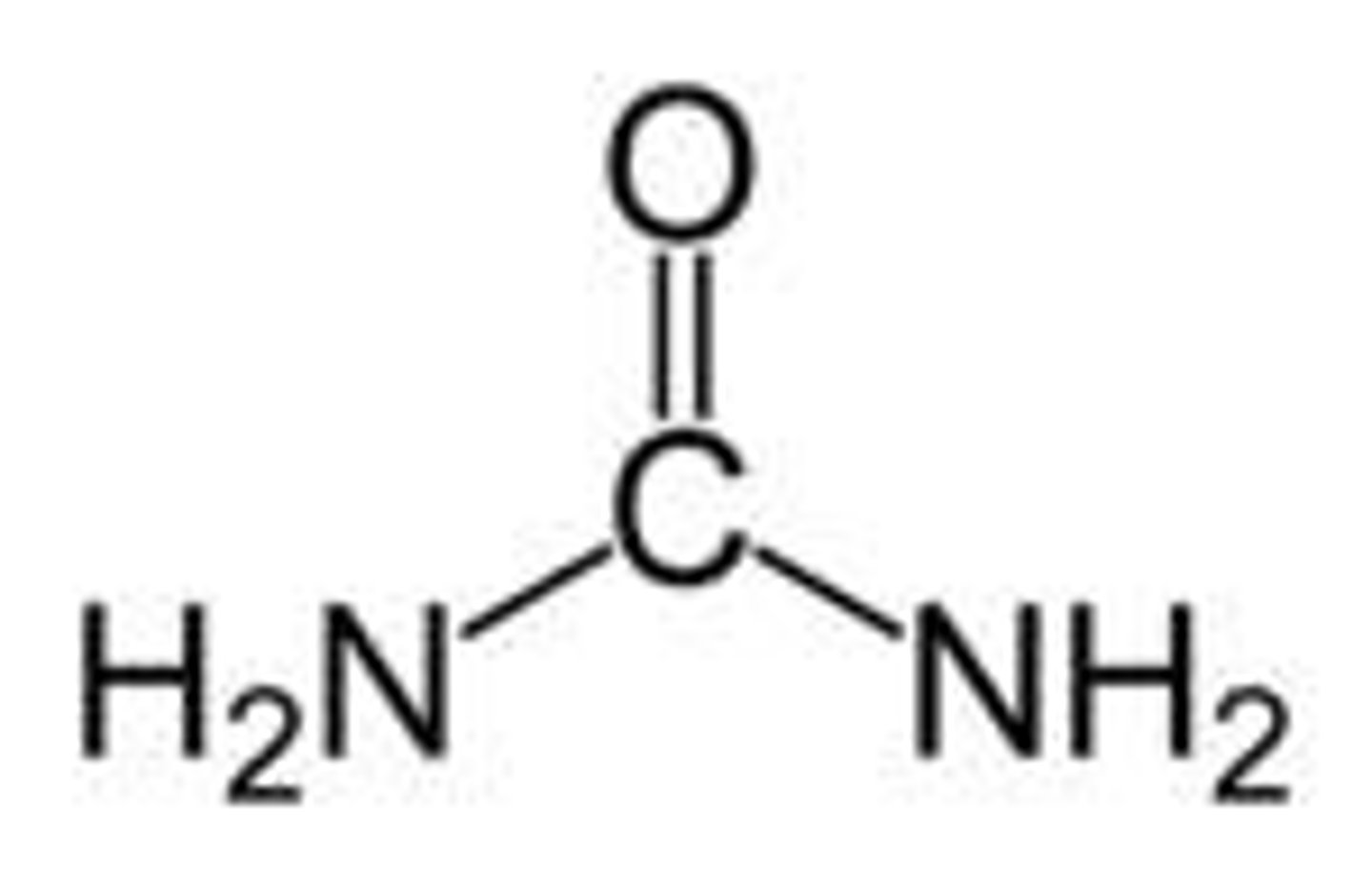 <p>formed in the liver from excess amino acids( deamination )</p>