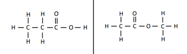 <p>different functional groups e.g. aldehydes and ketones, carboxylic acids and esters</p>