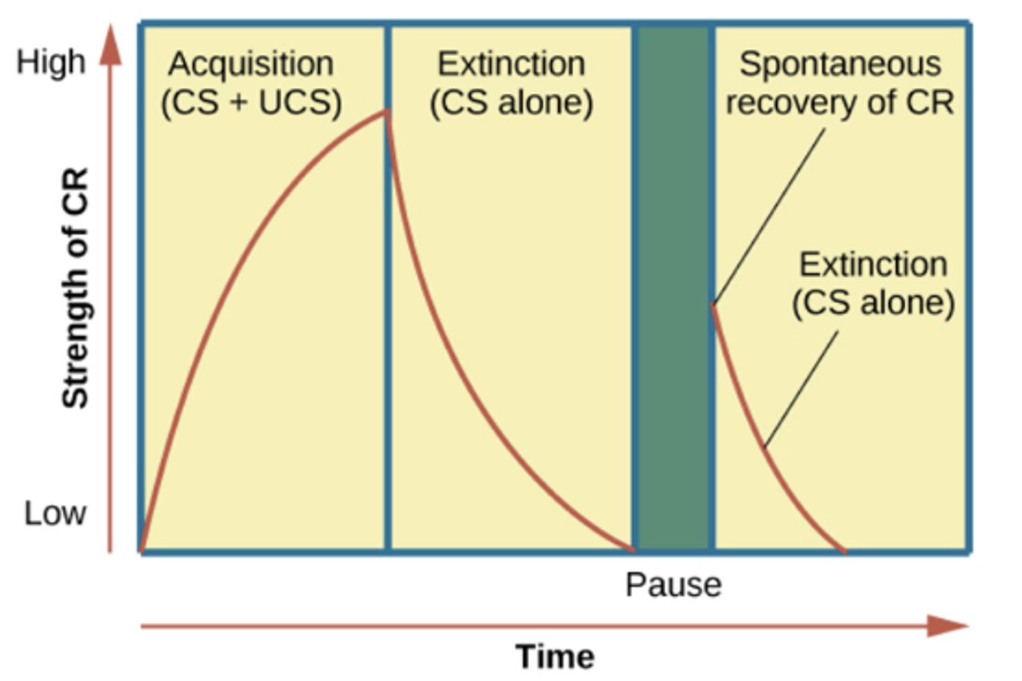 <p>-	Relearning is faster than original learning</p><p>-	True if extinction occurred and if just haven’t had the experience for a while</p><p>-	Extinction will lose unless memory is forgotten</p><p></p>