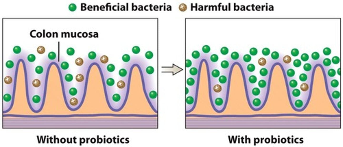 <p>living organisms that have scientifically been proven to improve health when consumed or administered</p>