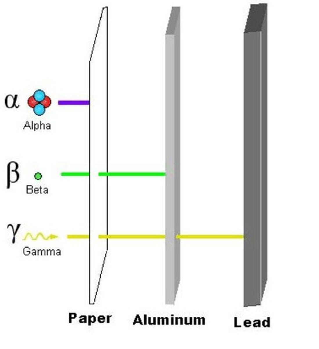 <p>The three types of radiation are Alpha (helium particle), Beta (electron), and Gamma (similar properties to X-rays).</p>