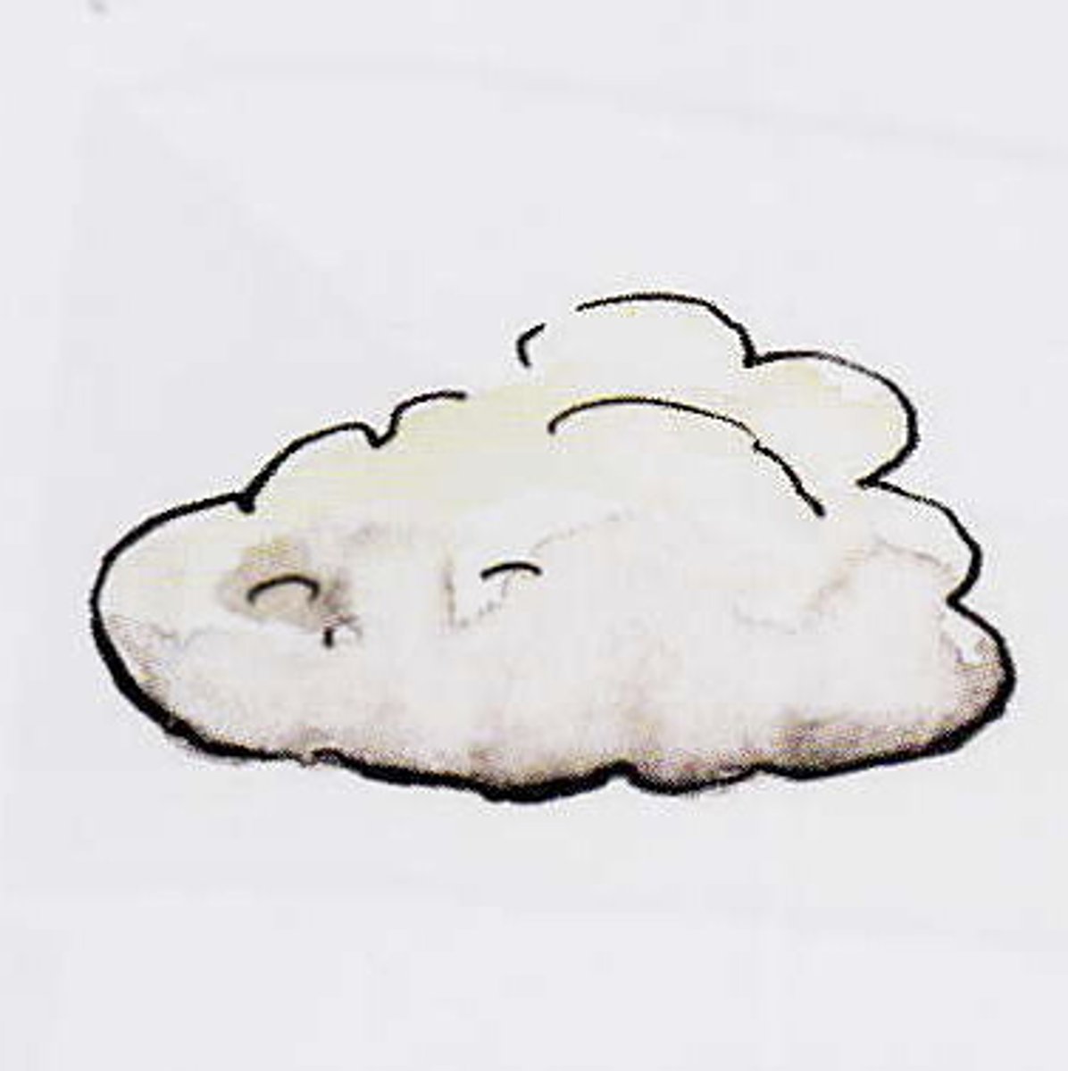 <p>die Wolke, die Wolken</p>