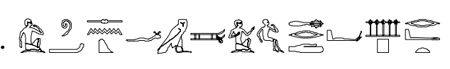 term image