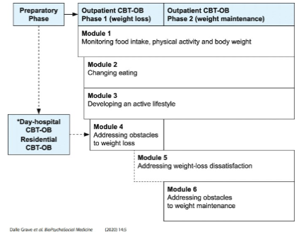 <ul><li><p>may include specific interventions like CBT</p></li><li><p>ex:</p><ul><li><p>preparatory phase: assess the nature and severity of obesity and any medical or psychosocial comorbidities</p></li><li><p>phase 1: initial weight loss including changing eating pattern, activity</p></li><li><p>phase 2: long term weight maintenance phase focusing on “locking in” new habits, tapering off monitoring</p></li></ul></li></ul><p></p>