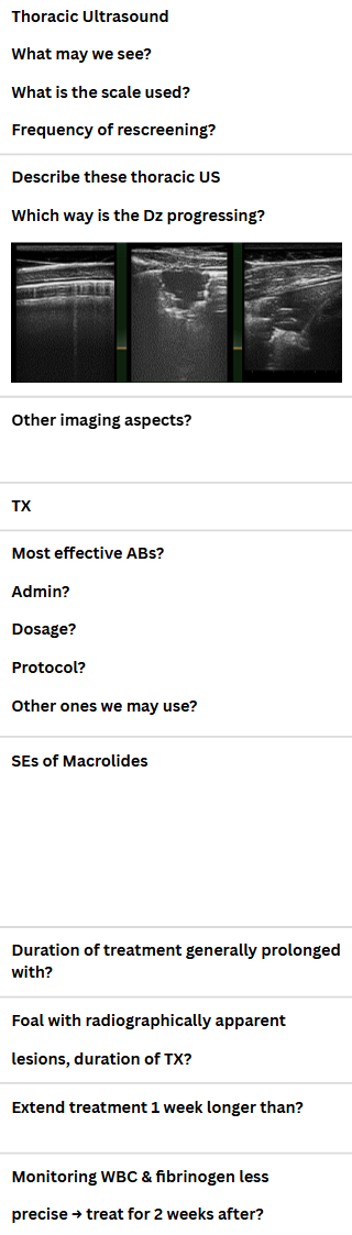 <p>BACTERIAL PNEUMONIA IN OLDER FOALS - Rhodococcus equi</p>