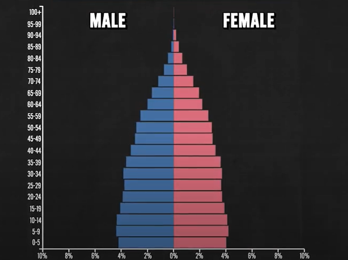 <p>birth rate is <strong>SLIGHTLY </strong>higher than the death rate</p>