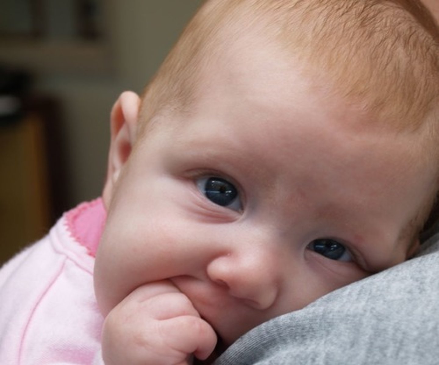 <p>small children</p>