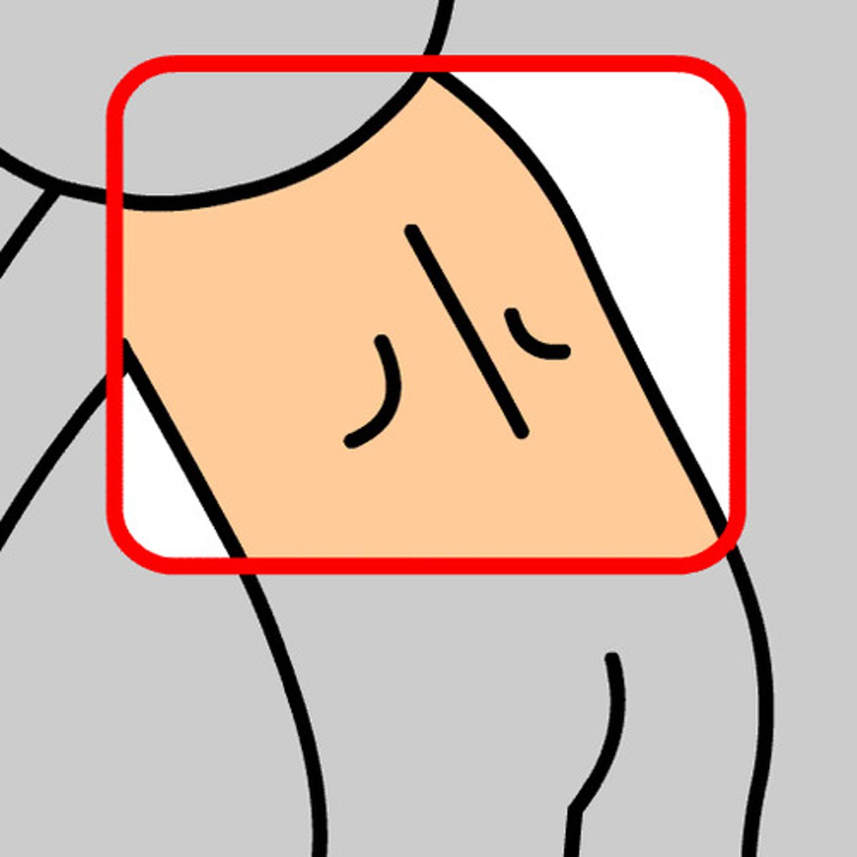 <p>back, noun</p>