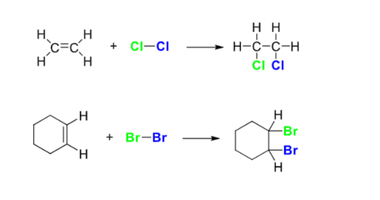 <ul><li><p>reaction with Cl2 or Br2</p></li><li><p>no catalysts needed</p></li><li><p>removes double bond and attaches there</p></li></ul>