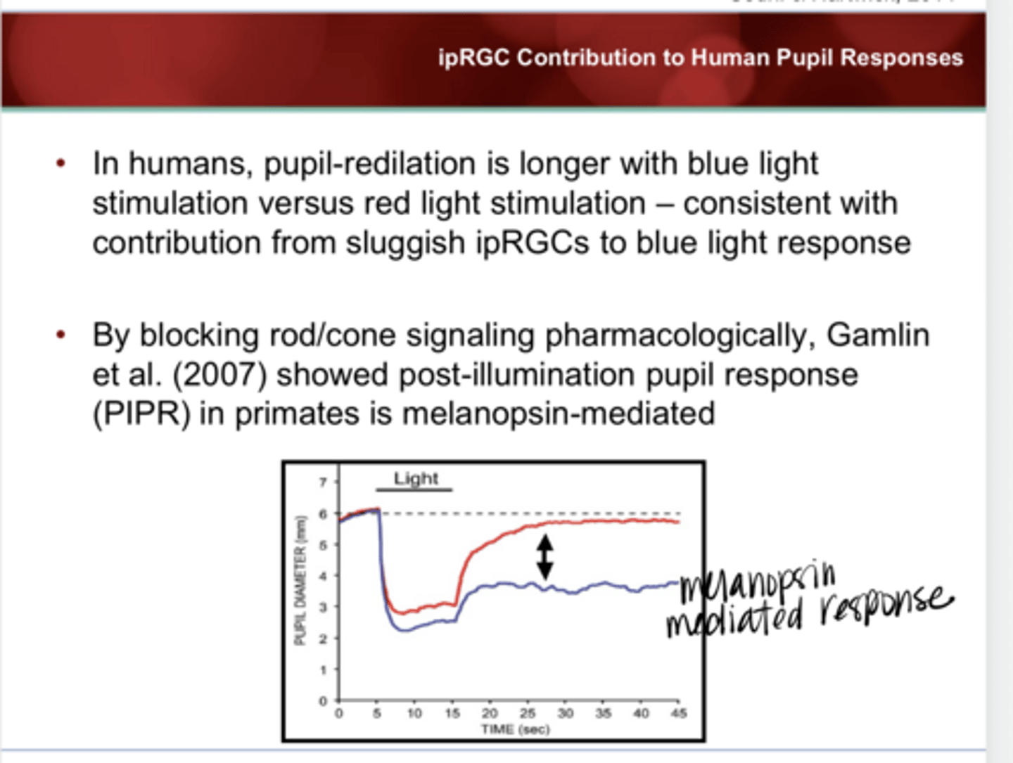<p>By blocking rod/cone signaling pharmacologically, post-illumination pupil response in primates is ____ related</p>