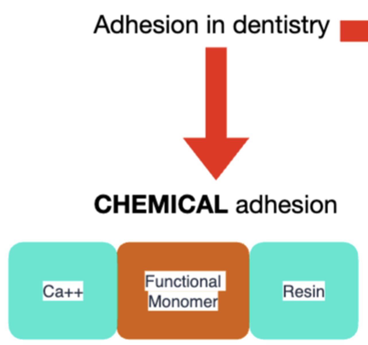 <p>chemical adhesion</p>