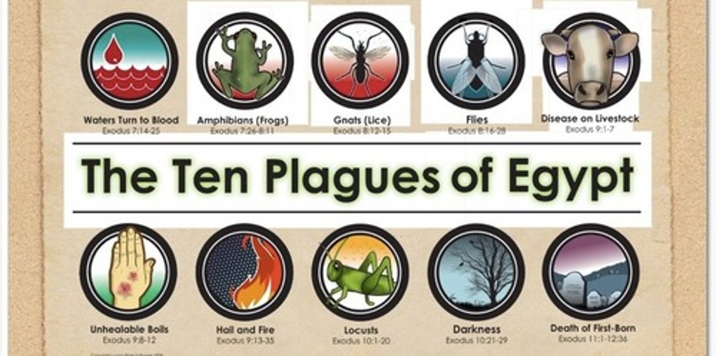 <p>Ten Plagues of Egypt</p>
