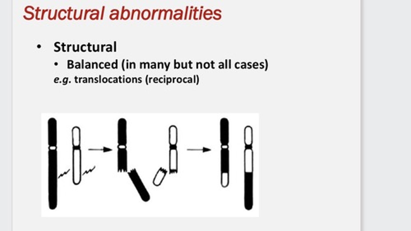 <p>Two chromosomes swap segments, chromosomes number usually doesnt change it is rearranged, is no DNA lost then its called a BALANCED translocation</p>
