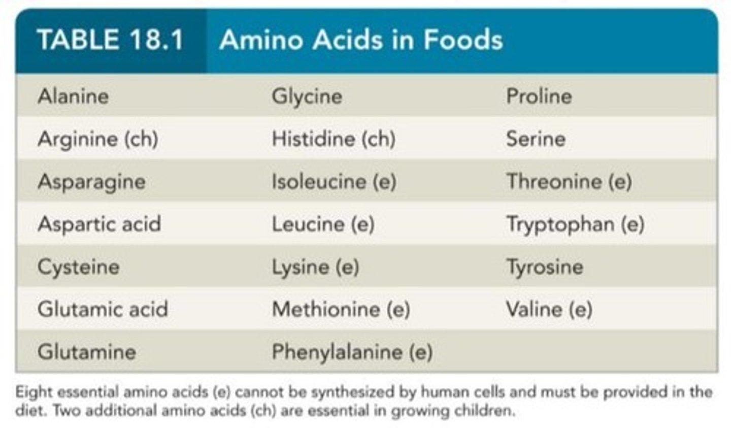 <p>They are not produced by the human body; they must be obtained via diet</p>