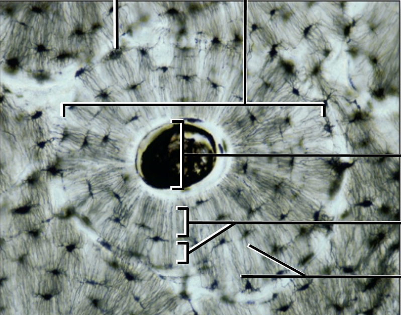 <p>what is this?</p>