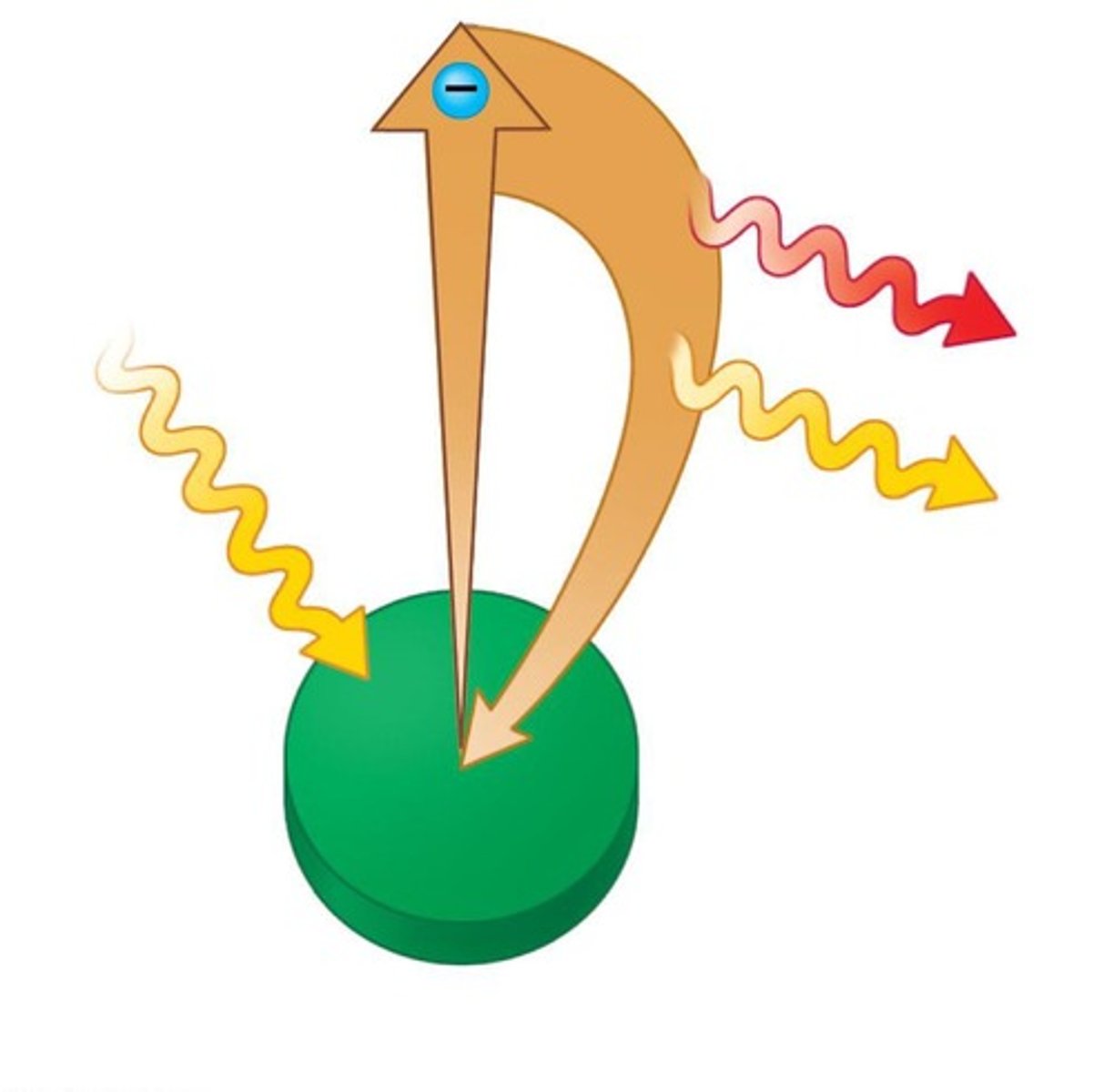 <p>Fluorescence is the release of energy as heat when an excited electron returns to its ground state.</p>