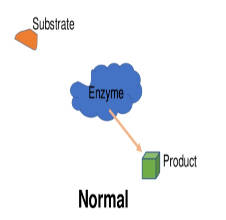 B. Drug-Enzyme Interaction