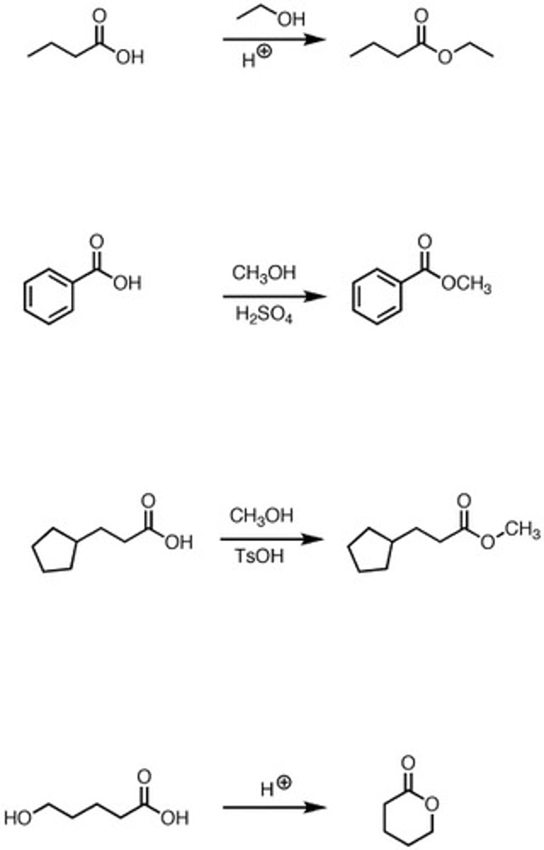 <p>Fischer esterification.</p><p>Carboxylic acid turns into an ester.</p>