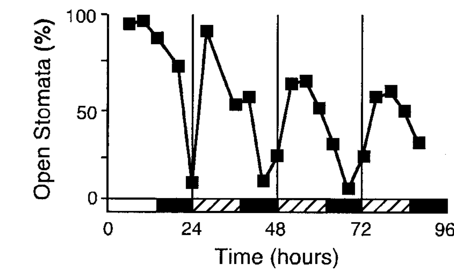 a graph showcasing the daily rhythm of stomatal apertures