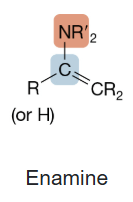 <p>Enamine</p>
