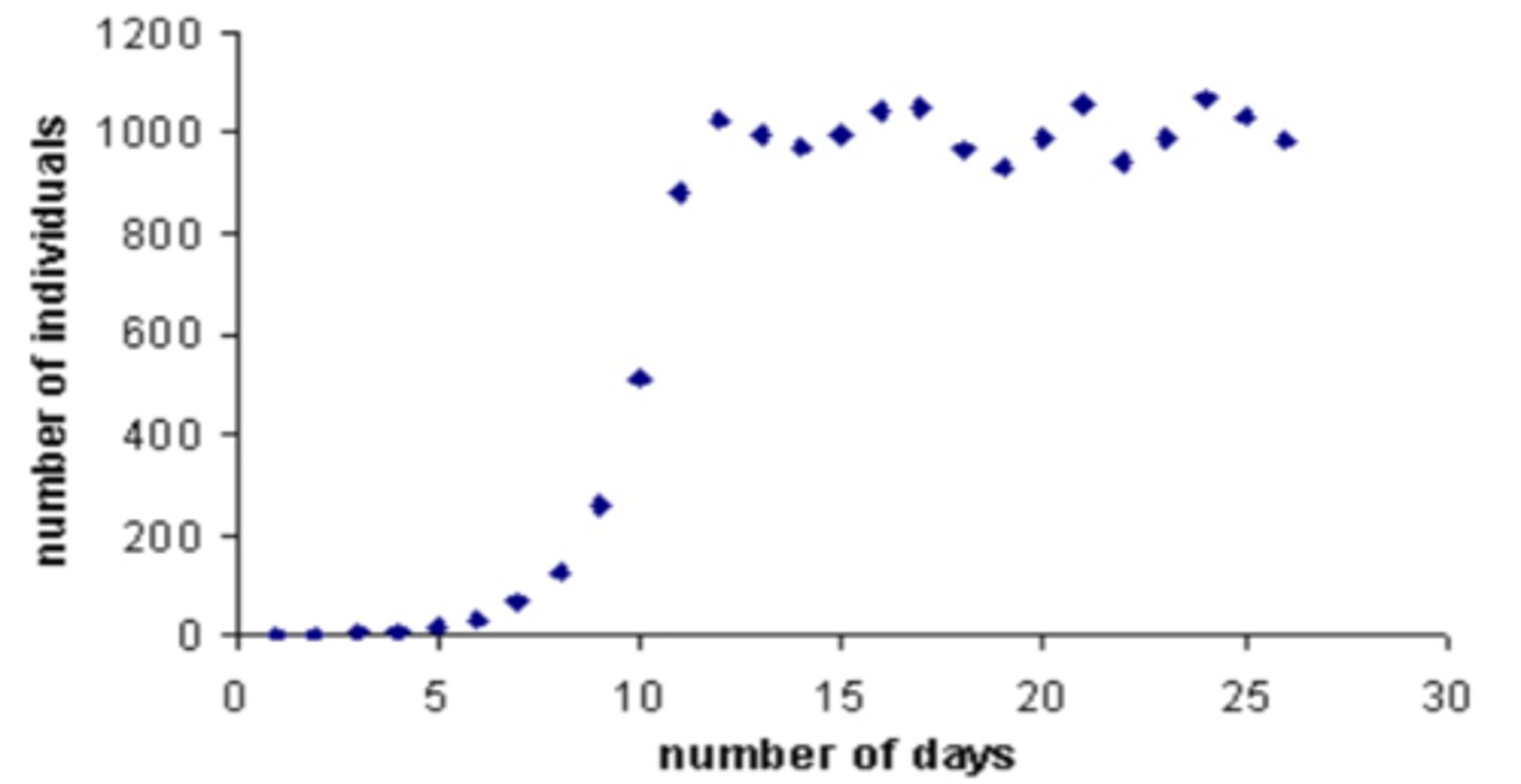 <p>In the end, the protozoa population size increased exponentially until there were more individuals than the resources in the jar could support. This resulted in a reduction of the total number of protozoa in the population until resources were able to rebound or replenish.</p><p>SUMMARY: Protozoa population exponentiated and hit carrying capacity </p>