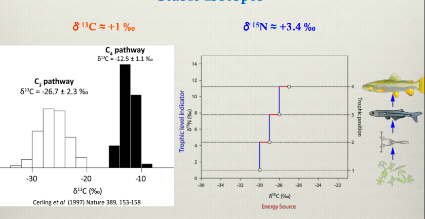 <p>What do these graphs show</p>