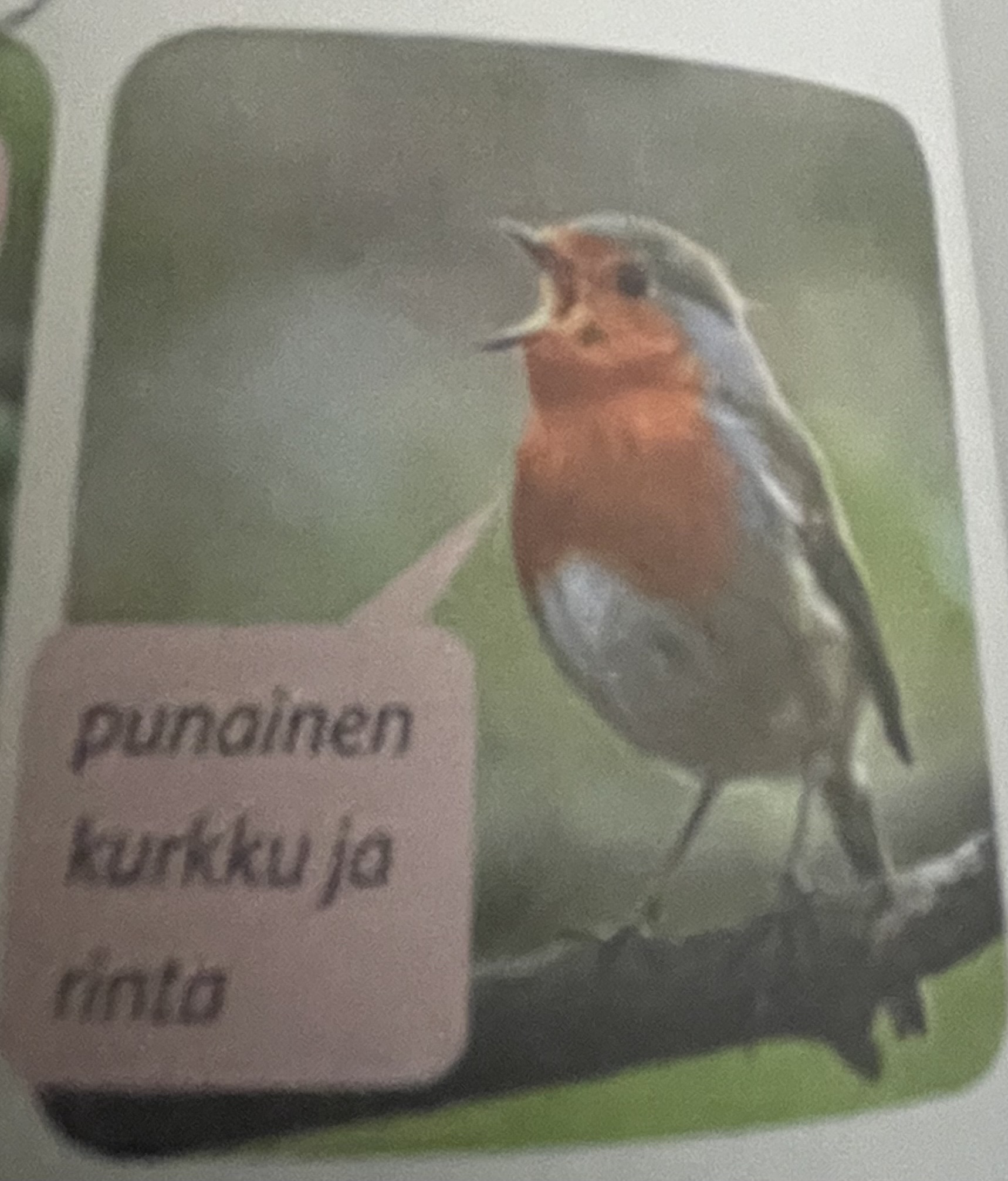 <p>mikä eläin</p>