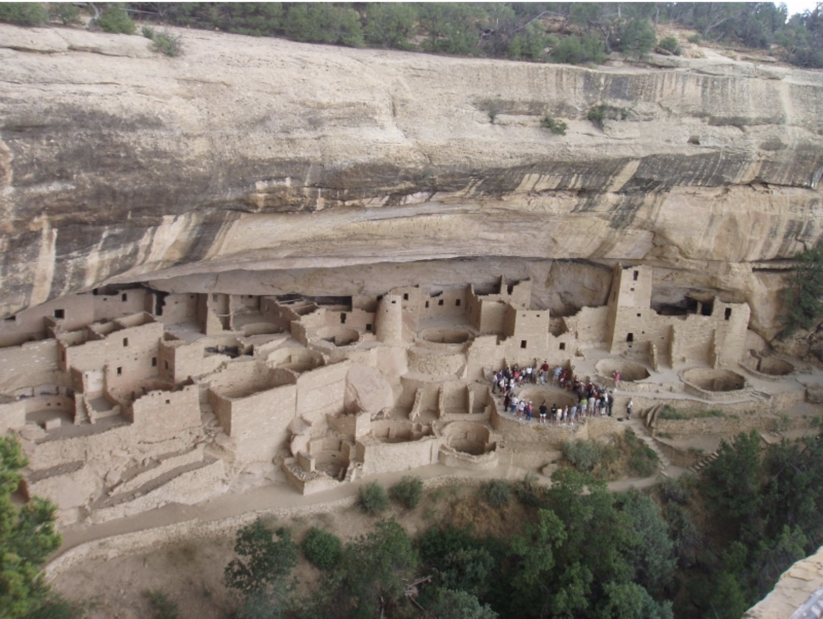 <p>mesa verde cliff dwellings</p>