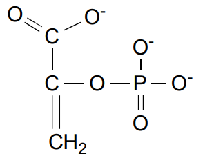 <p>Phosphoenolpyruvate (PEP)</p>