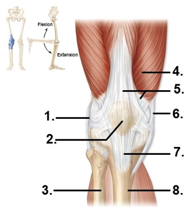 <p><span>Name structure 1</span></p>