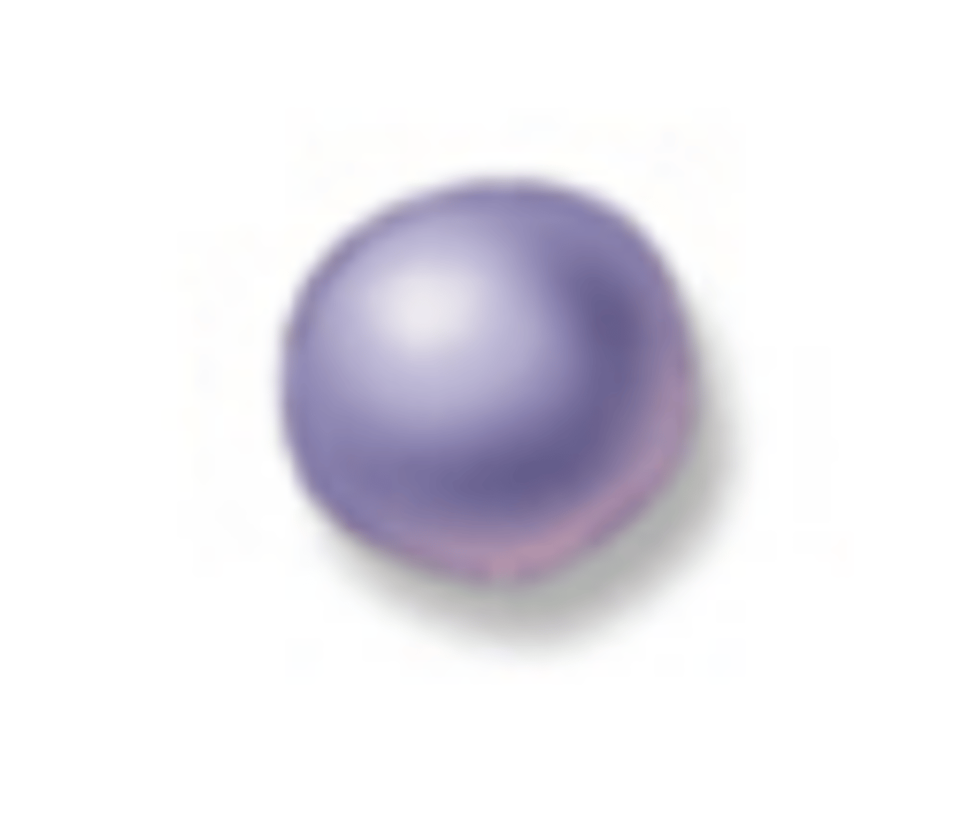 <p>What is the morphology of the bacteria shown?</p>