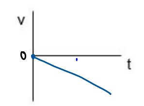 <p>negative slope, starts at origin, all below 0</p>