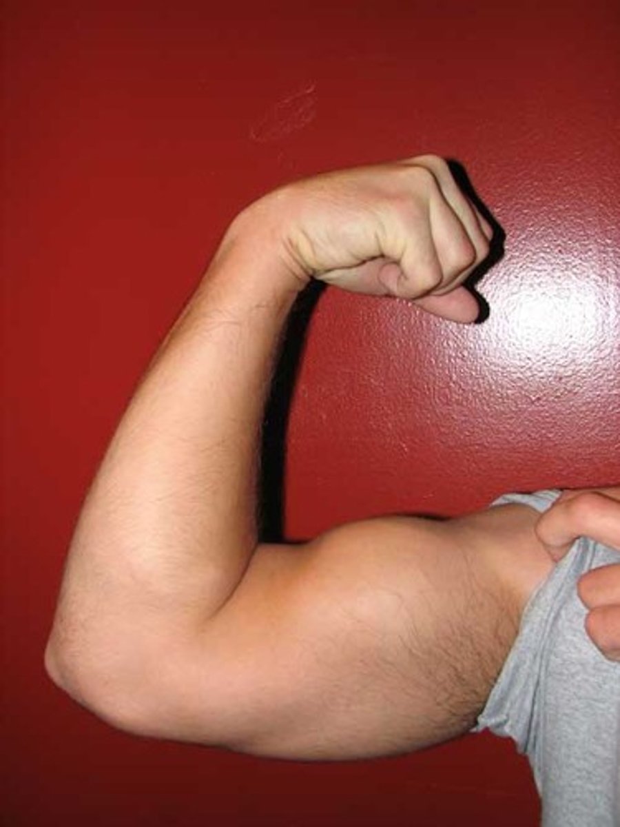 <p>to flex, to stretch</p>