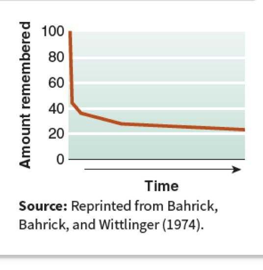 <p></p><p>• Memory traces (physical traces in brain) fade over time if they are not used</p><p>• Forgetting curve – we forget a great deal very rapidly, but the forgetting levels off and the amount of information we retain stabilizes</p>