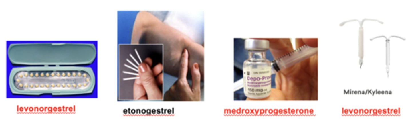 <p>Oral formulations of norethindrone (Micronor) or levonorgestrel (Ovrette) taken daily</p><p>Subdermal implants of etonogestrel (Nexplanon) for slow-release and long-term contraceptive actions (up to four years)</p><p>IM injections of medroxyprogesterone (Depo-provera) that provides effective contraception for 3 months</p><p>Intrauterine device (IUD) that releases low amounts of progesterone locally (Mirena lasts up to 8 years).</p>