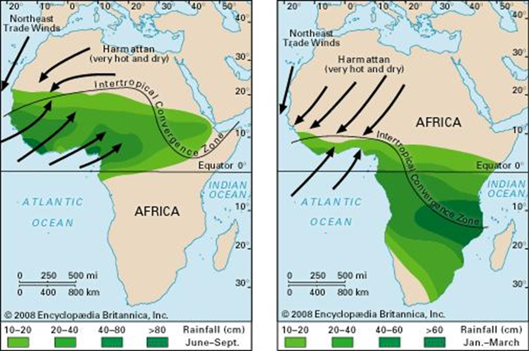 African Monsoons