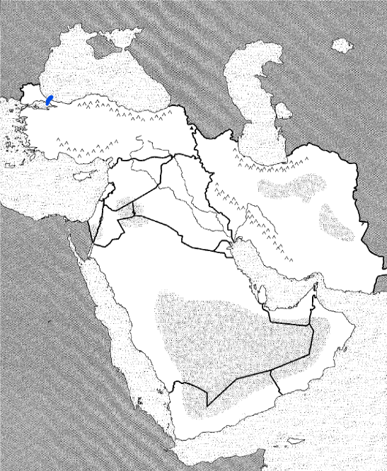 <p>Physical</p>