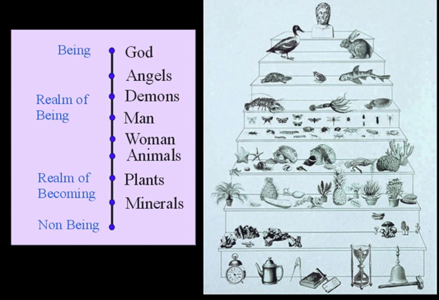350 BC

scheme outlined by aristtoles history of animals

all matter organized as decreed by GOD

\-TEMRS STILL USED TODAY:vertebrates and invertabrates