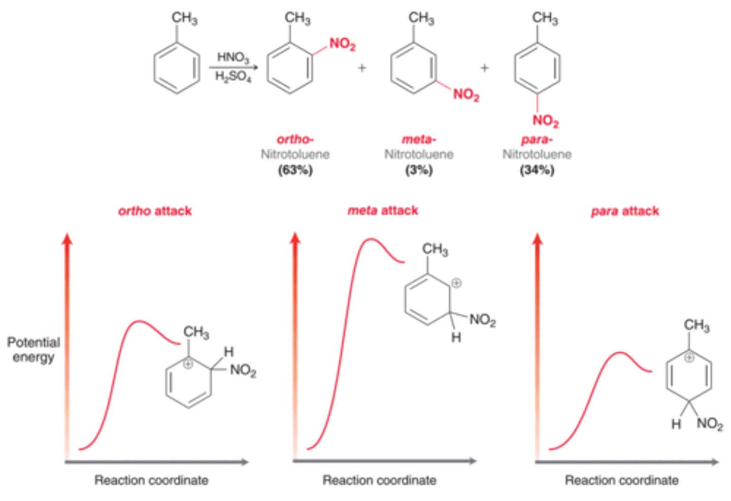 <p>Ortho-para director</p>