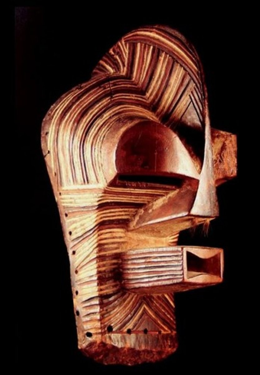 <p>Tricolored is male</p>