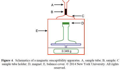 <p>diamagnetic = repel = Δm>0</p><p>paramagnetic = attract = Δm<0</p>