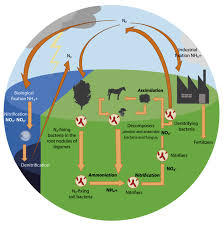 <p>What is this a diagram of?</p>