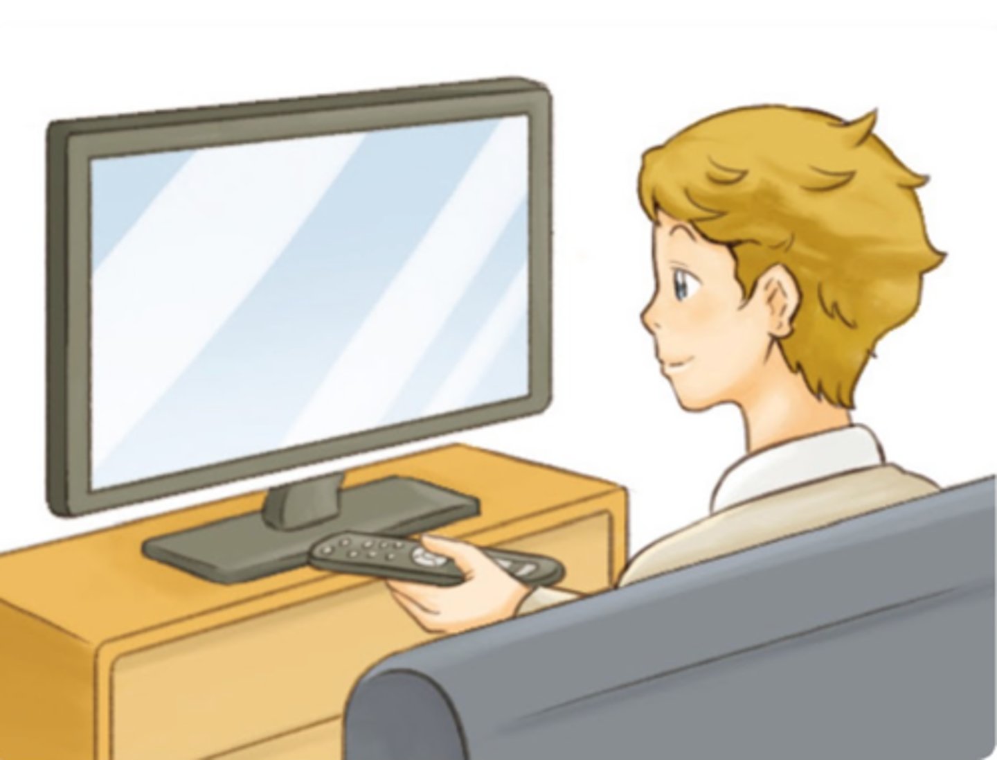<p>television</p>
