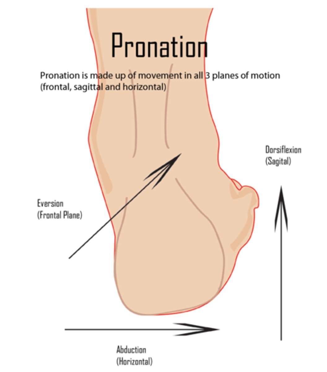 <p>dorsiflexion, forefoot ABD, subtalar eversion</p>