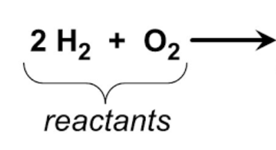 <p>The let side of the equation that undergoes change.</p>